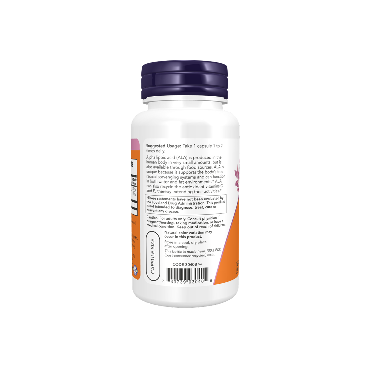NOW Foods Ácido Alfa Lipoico 100 mg – 60 Cápsulas Vegetarianas