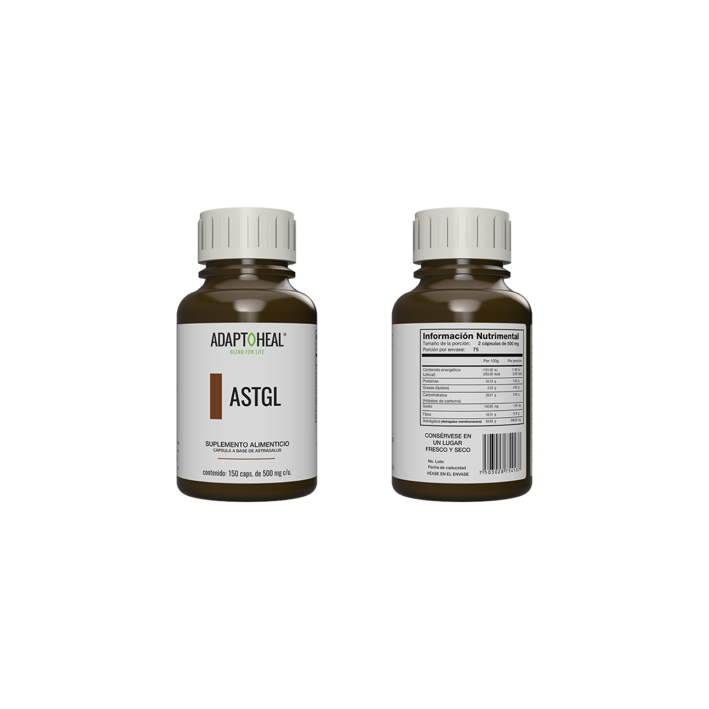 Astragalus